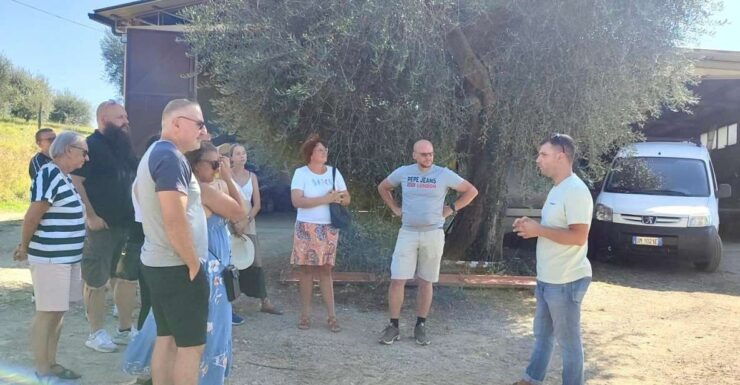 Seggiano: Typical Tuscan Farm Tour With Olive Oil Tasting - Tour Details
