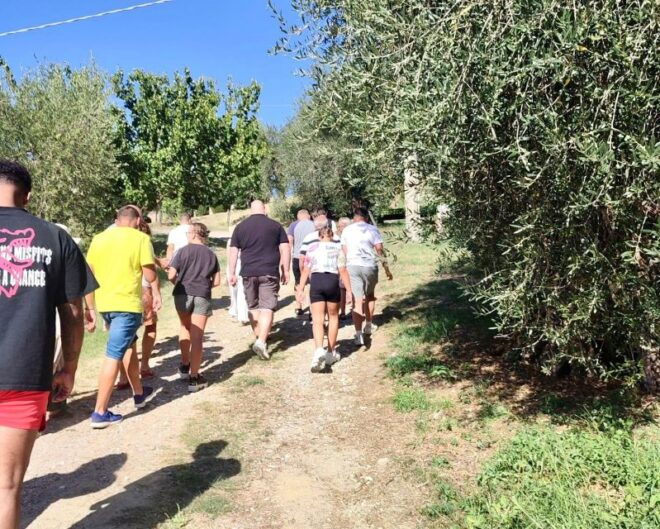Seggiano: Typical Tuscan Farm Tour With Olive Oil Tasting - Inclusions
