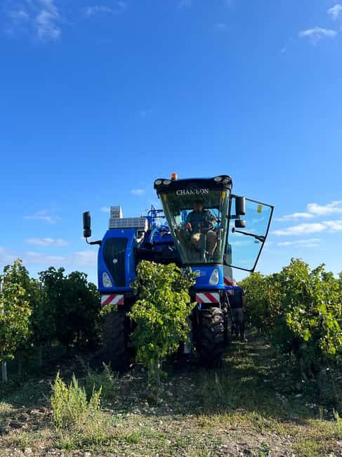 Segonzac: visit a family-run estate: G and C Raby - Who Should Consider This Tour?