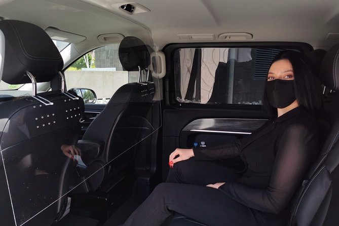 Segovia Private Day Trip From Madrid With Hotel Pick up - Customizing Your Trip