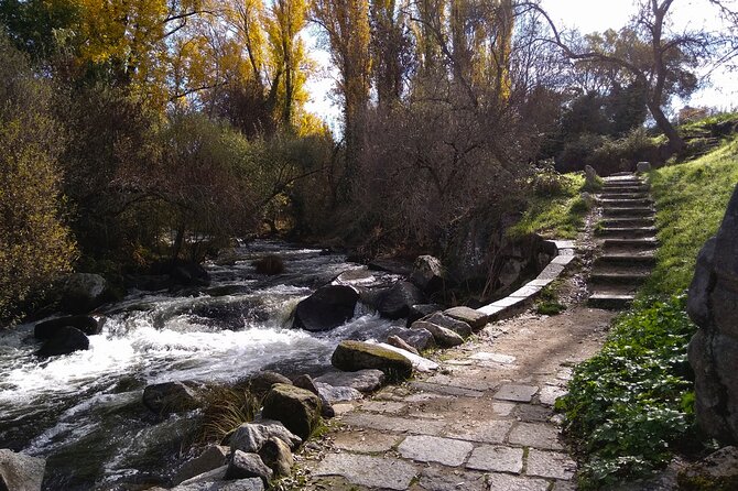 Segovia With Alcazar Guided Tour by High-Speed Train From Madrid - Reviews