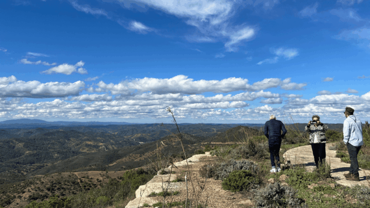Segredos do Algarve: Tour Guiado (Full Day) - Value & Practical Details