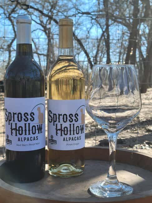 Seguin: Alpaca Experience and Adventure Tour - Final Thoughts