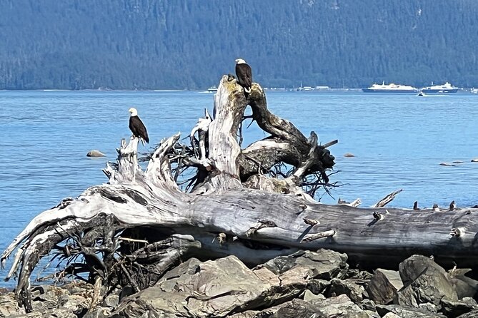 Segway Alaska - Coastal Rainforest Trek - Common Questions