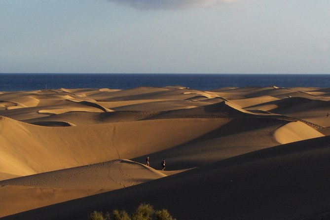 Segway Sightseeing With Option Tapas Tasting :Maspalomas Seafront - Additional Information