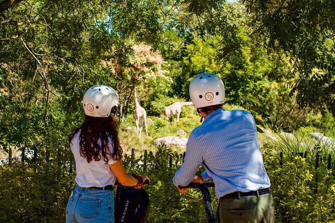 Segway Tour by Comhic - 2h00 Tête D'or Park - Overview of Segway Tour by Comhic