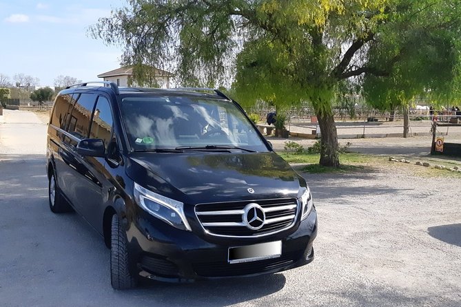 SEGWAY WINE TOUR PENEDÉS: Guided SEGWAY TOUR Vineyards. WINE Tasting & Lunch - Gourmet Lunch Delights