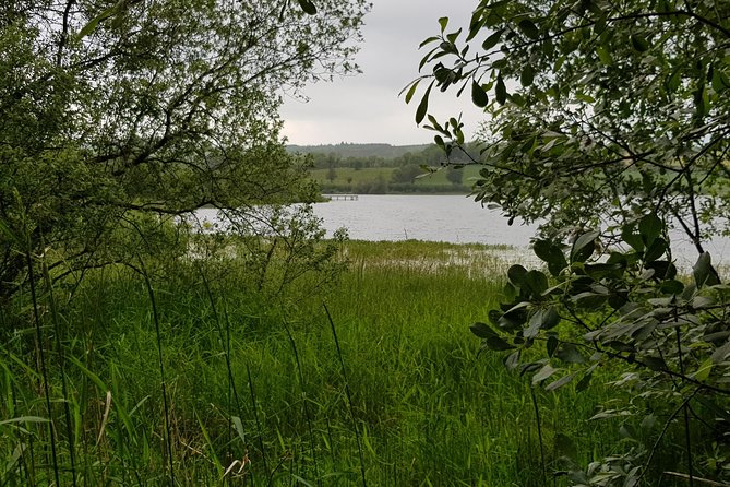 Segways in Fermanagh Lakelands, Northern Ireland - Wildlife Observation and Sightseeing
