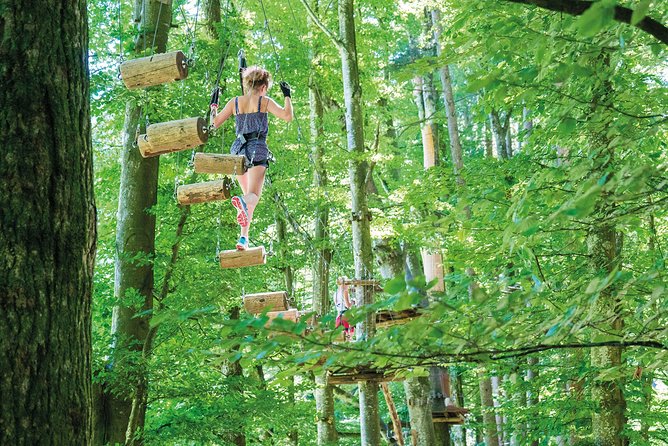 Seilpark High-Ropes Adventure Park Admission in Interlaken - Overview and Features of Seilpark High-Ropes Adventure Park