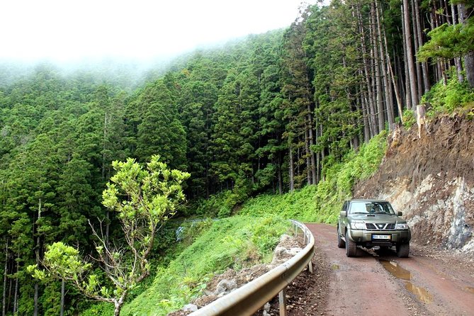 Seize Your Day in São Miguel With a 4x4 Private Tour - Expert Naturalist Guide