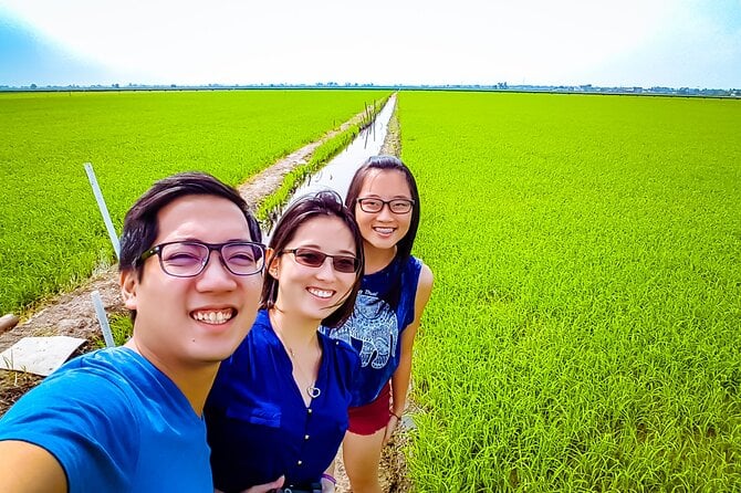 Sekinchan Paddy Field, Fishing Village & Kuala Selangor Fireflies Tour - The Sum Up