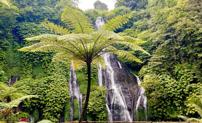 Sekumpul and Banyumala Waterfalls Hiking Tour - Common Questions