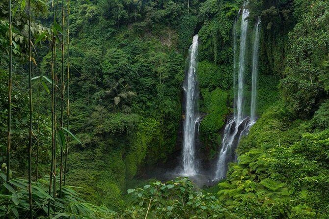 Sekumpul Bali Waterfall Tour - Sekumpul Bali Waterfall Tour Review