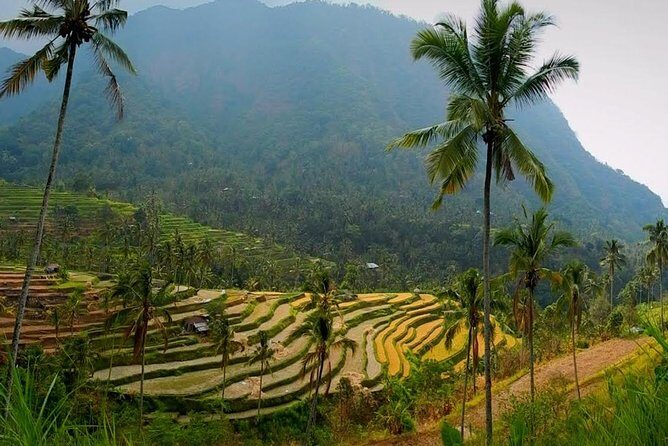 Sekumpul Bali Waterfall Tour - Good To Know