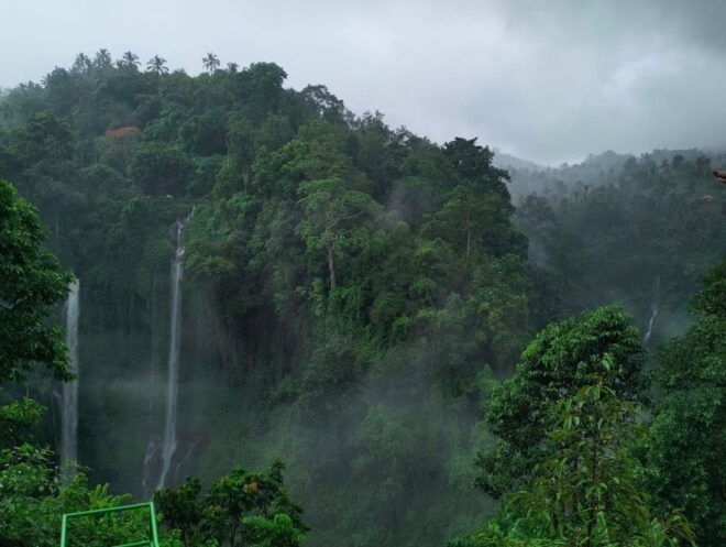 Sekumpul Waterfall Jungle Trekking - Full Description