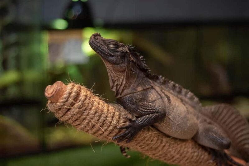 Selangor : Just Farm at Just Pets Megastore Ticket - The Sum Up