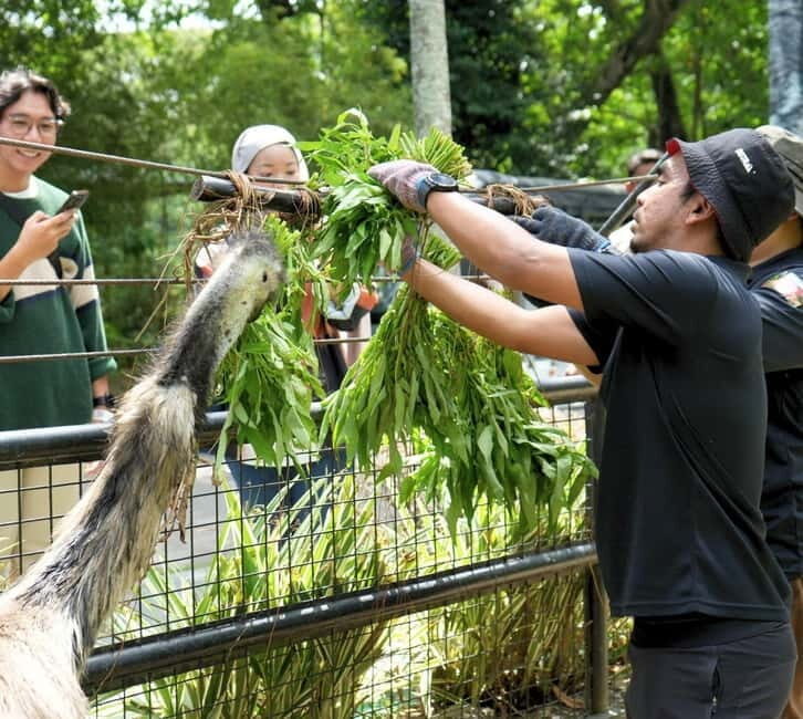 Selangor: Zoo Negara E-Ticket - Good To Know
