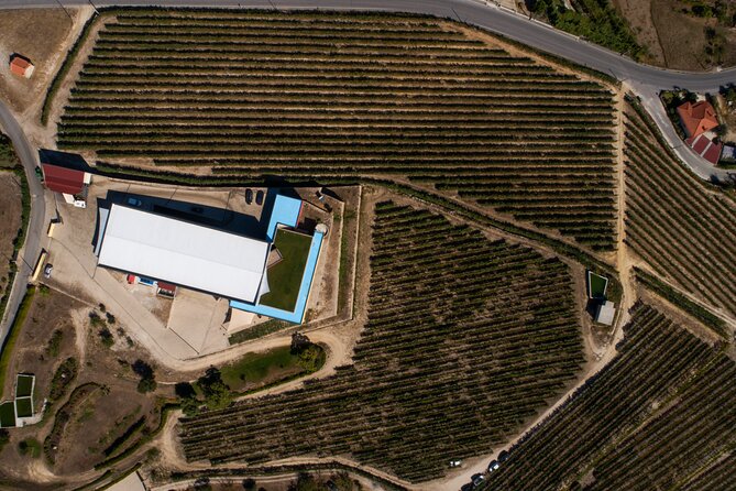 Selection Tasting Quinta De Santa Cristina Vinho Verde - History of Quinta De Santa Cristina