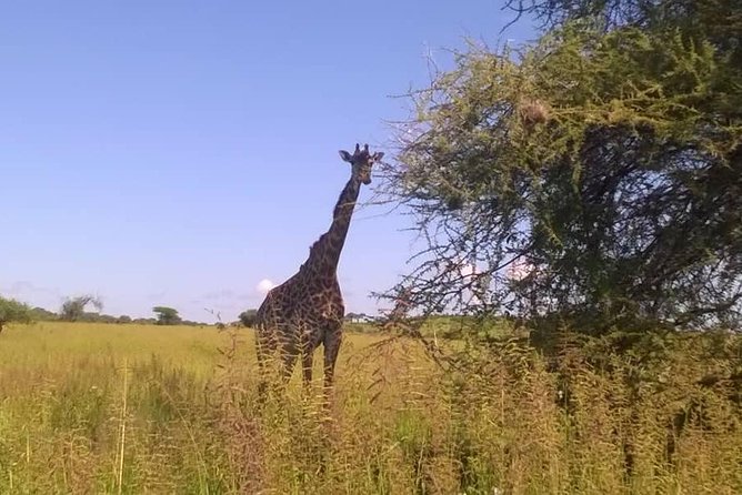 Seleus Game Reserve Safaris - Bottled Water