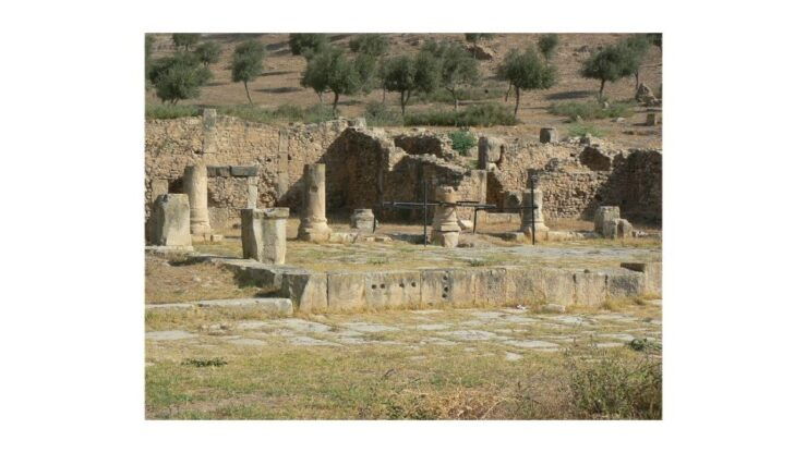 Self-Discovery: Dougga & Bulla Regia Adventure - Activity Details