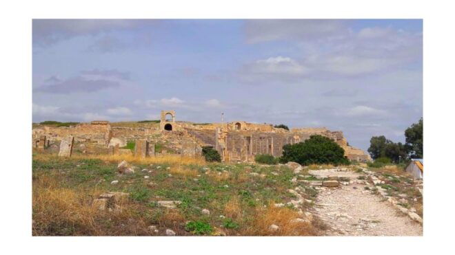 Self-Discovery: Dougga & Bulla Regia Adventure - Late Afternoon and Evening
