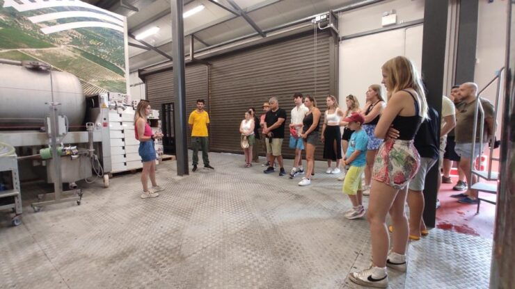 Self-Drive 4X4 Jeep Safari to South Crete - Wine Tour & Swim - Activity Details