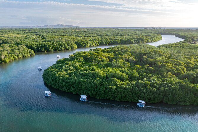 Self Drive BBQ eBoat Cruise with Onboard BBQ Denarau Fiji - Why This Experience Works