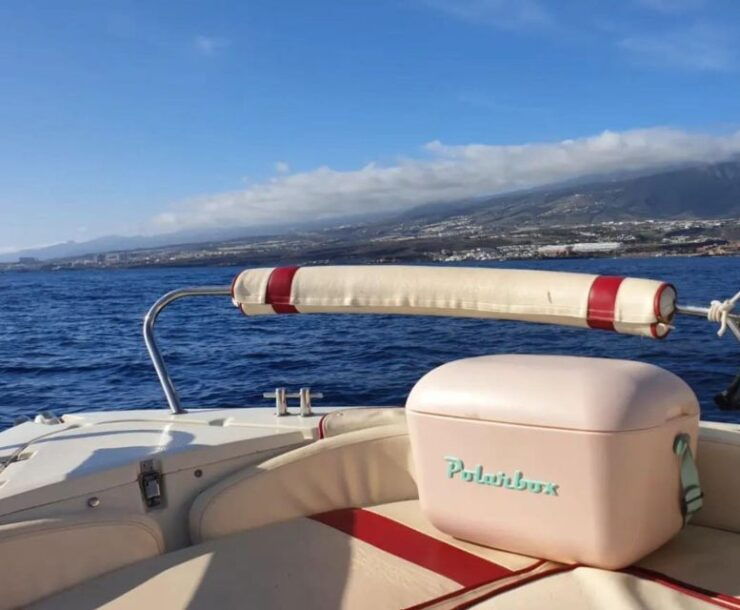 Self Drive Boat Rental in Costa Adeje Tenerife - Highlights