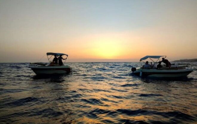 Self Drive Boat Rental in Costa Adeje Tenerife - Description