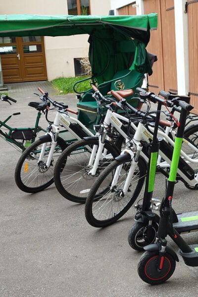 Self-Drive E-Scooter Shared Guide in Small Groups - Meeting Point Information