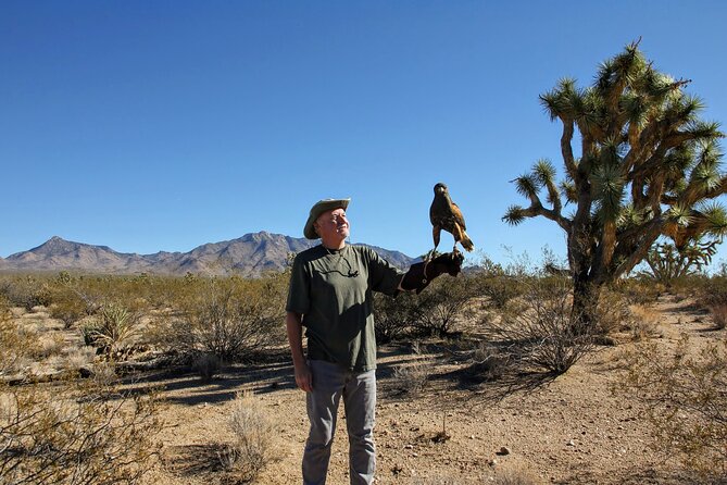 Self Drive Raptor Experience (1 Hour) in Joshua Tree Forest - Experience Details