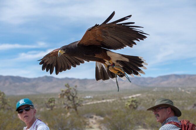 Self Drive Raptor Experience (1 Hour) in Joshua Tree Forest - Inclusions and Logistics