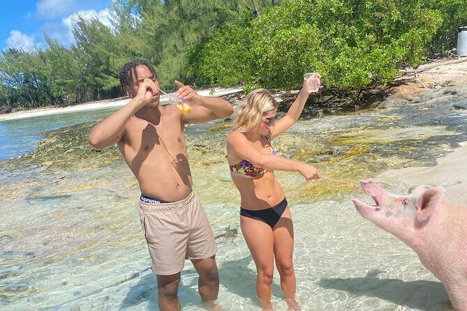 Self Drive Speedboat and Swim with the Pigs - The Sum Up