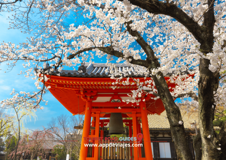 Self-Drived Audio Guide Japan Complete - Tour Highlights and Experience
