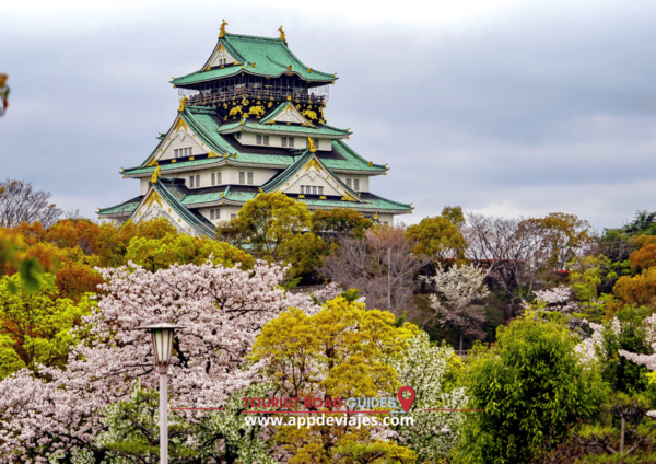 Self-Drived Audio Guide Japan Complete - Customer Satisfaction Guarantee