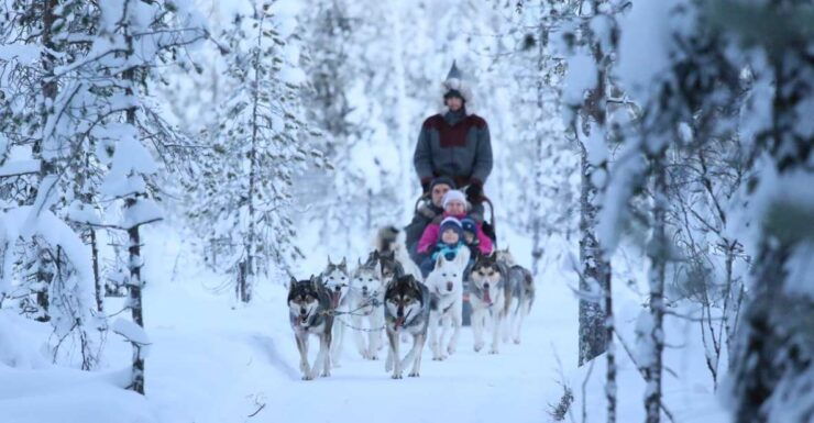 Self Driven 5km Husky Sleig Ride Adventure - Customer Reviews