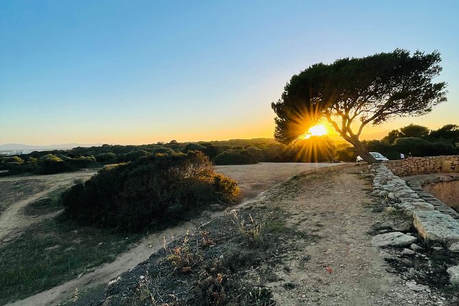 Self-Geführte Wanderung Und Outdoor-Escape-Spiel in Cala Millor, Auf Deutsch. - Self-Guided Walking Tour and Outdoor Escape Game