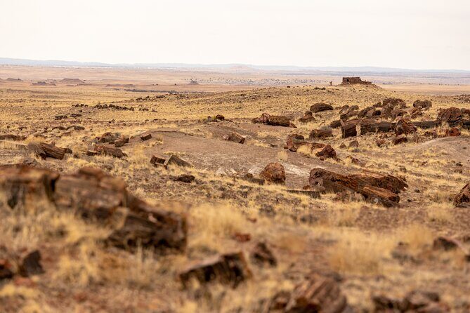 Self-Guided Audio Driving Tour in Petrified Forest National Park - Who Is This Tour Best For?