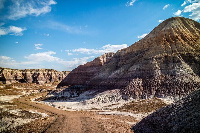 Self-Guided Audio Driving Tour in Petrified Forest National Park - FAQ