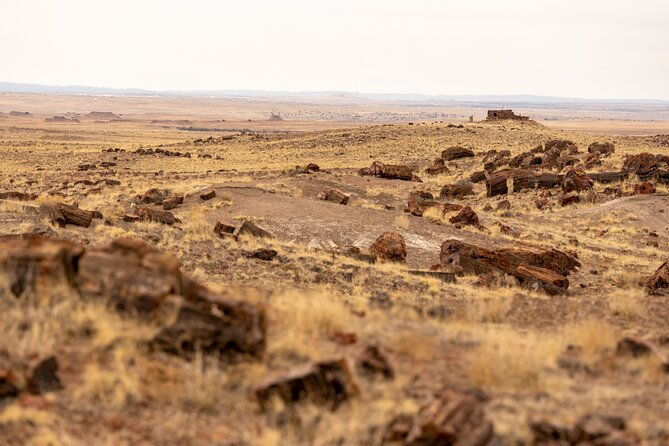 Self-Guided Audio Driving Tour in Petrified Forest National Park - An In-Depth Look at the Self-Guided Audio Tour Experience