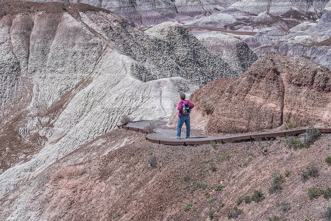 Self-Guided Audio Driving Tour in Petrified Forest National Park - FAQ
