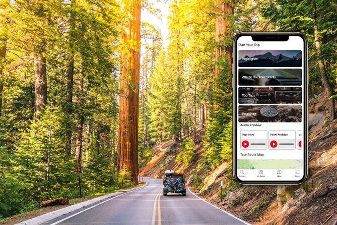 Self-Guided Audio Driving Tour in Sequoia and Kings Canyon - Good To Know  