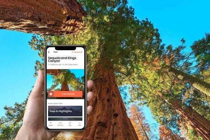 Self-Guided Audio Driving Tour in Sequoia and Kings Canyon - A Practical Guide to the Itinerary  