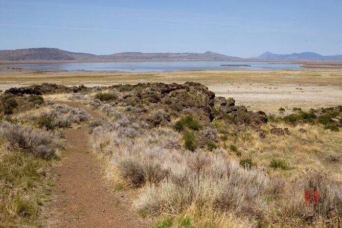 Self-Guided Audio Driving Tour in Sequoia and Kings Canyon - Who Is This Tour Best For?  