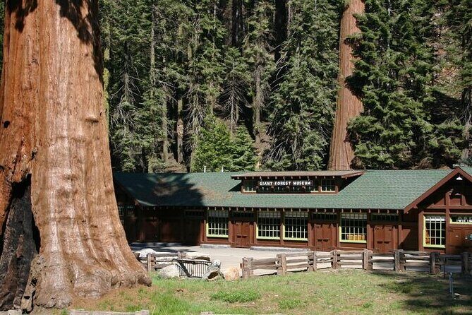 Self-Guided Audio Driving Tour in Sequoia and Kings Canyon - FAQs  