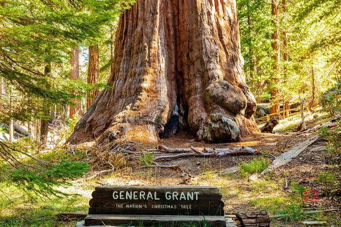 Self-Guided Audio Driving Tour in Sequoia and Kings Canyon - Final Thoughts  