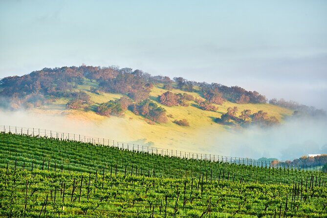 Self-Guided Audio Driving Tour of Sonoma and Napa Valley - What Makes This Tour Stand Out?