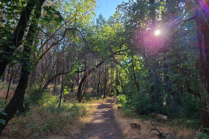 Self-Guided Audio Driving Tour of Sonoma and Napa Valley - What We Like and What to Watch Out For