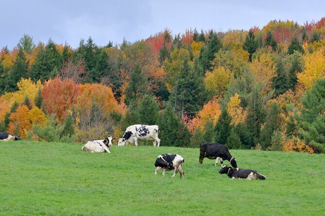Self-Guided Audio Driving Tour of Vermont, RT100 Scenic Byway - Who Would Love This Tour?