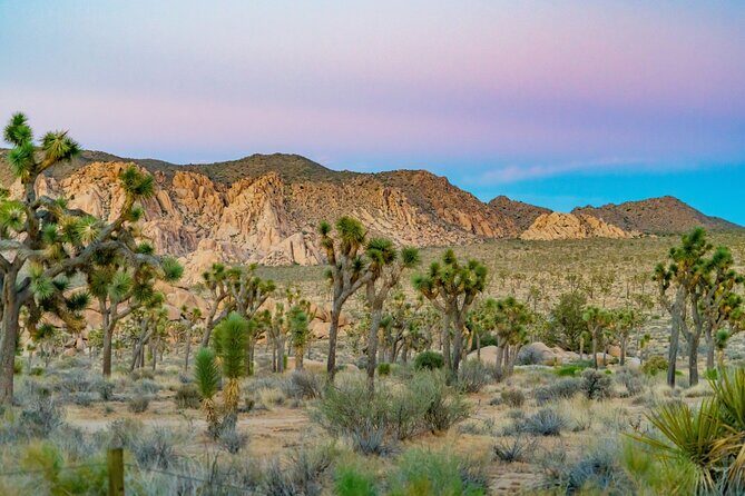 Self Guided Audio Tour of Joshua Trees Hidden Valley Trail - FAQ